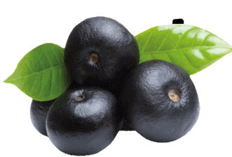 Fruit – Acai Berries 10kg